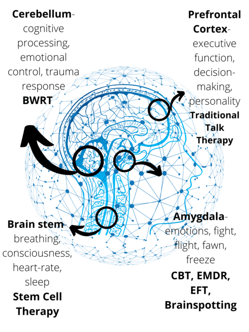 A diagram showing which parts of the brain different therapies for mental health target
