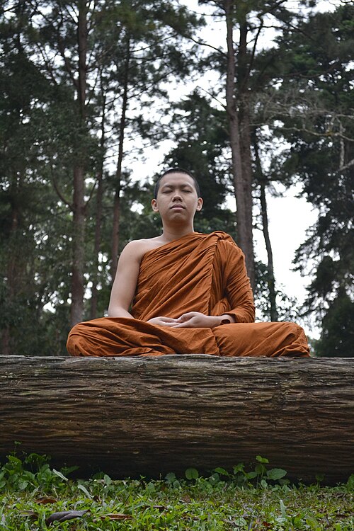 A Buddhist monk meditating